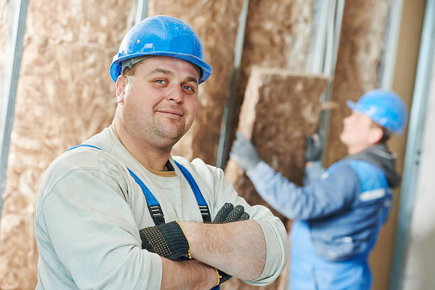 Best Insulation Maintenance and Repair in Twin Lakes, CA